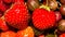 Forest berries in assortment.