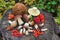 Forest berries and mushrooms on a stump