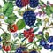 Forest berries seamless pattern. watercolor seamless pattern
