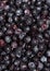 Forest berry blueberries.Background of ripe blueberries.