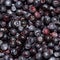 Forest berry blueberries.Background of ripe blueberries.