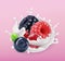 Forest berry and milk splash. Fruit and yogurt. 3d vector icon