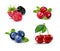 Forest berry. Sweet fruit. Realistic illustration. 3d vector icon set