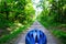 Forest Bike Path