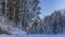 A forest of birch and pine trees grows on the banks of the frozen river.