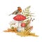 Forest bird autumn arrangement. Watercolor illustration. Hand drawn robin bird on fly agaric mushroom fall nature decor