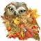 Forest bird owl Autumn nature colorful leaves background , fruit, berries, mushrooms, yellow leaves, rose hips on black background