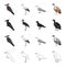 Forest bird, woodpecker, stork, seagull, vulture. Bird set collection icons in cartoon black monochrome outline style