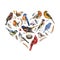 Forest birds watercolor collection. Hand drawn natural wild forest bird set. Red cardinal, goldfinch, wren, chickadee