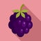 Forest blackberry icon, flat style