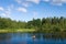 Forest blue lake and clouds