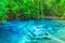 Forest Blue Pool Krabi Province, Thailand
