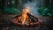 Forest Bonfire Burning Wood and Brick Surrounding with Smoke