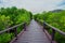 Forest, Bridge - Built Structure, Footbridge, Public Park, Rain