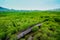 Forest, Bridge - Built Structure, Footbridge, Public Park, Rain