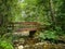 forest bridge over creek in Montseny mountain