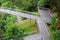 Forest Bridge In Singapore