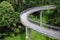 Forest Bridge In Singapore