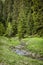 Forest and brook in Low Tatras mountains, Slovakia, springtime scene
