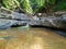 Forest brook streaming in The Caspian Hyrcanian forests , Iran