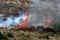 A forest is burning in the mountains on the border of Israel and Lebanon