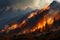Forest burning on the mountainside, natural disaster, climate change, global warming, arial view