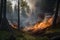 Forest Burning: A Natural or Handmade Disaster Causing Damage to Ecology, Generative AI