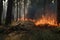 Forest Burning: A Natural or Handmade Disaster Causing Damage to Ecology, Generative AI