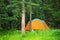 Forest Campground Tent