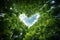 Forest canopy, bottom view, sky forms a heart shape Beautiful