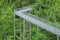 Forest Canopy Walkway