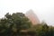 Forest Of Chestnut Trees With Background One Of The Mountains Of The Medulas On A Cloudy Day In The Medulas. Nature, Travel, Lands