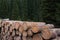 Forest clearing of dead trees, destroyed by bark beetle