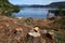 Forest clearing in Norway