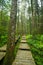 Forest, climber, safety, walking, boardwalk