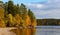 Forest with colorful foliage on the shores of Lake Imandra. Autumn landscape, Kola Peninsula, Russia