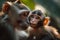 Forest companionship Young macaque and mother sitting peacefully in nature