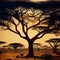 forest cover, African savanna landscape
