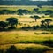 forest cover, African savanna landscape