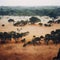 forest cover, African savanna landscape