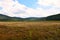 Forest covered hills around polje at intermittent karst dry Cerknica lakebed