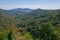 Forest covered mountains at the summer