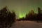 Forest covered in white and spectucular green Northers lights