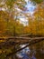 Forest Creek in Autumn, Pennsylvania Woodland, Ridley Creek State Park