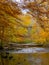 Forest Creek in Autumn, Pennsylvania Woodland, Ridley Creek State Park