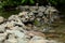 Forest creek with rock dam and crisp mountain water