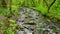 Forest creek running over moss covered rocks. Spring landscape.