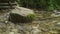 Forest creek running through the stones