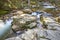 Forest and creek with silk effect. Lozoya river in Madrid