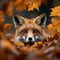 Forest curiosity Red fox peeks from autumn leaves, shallow depth